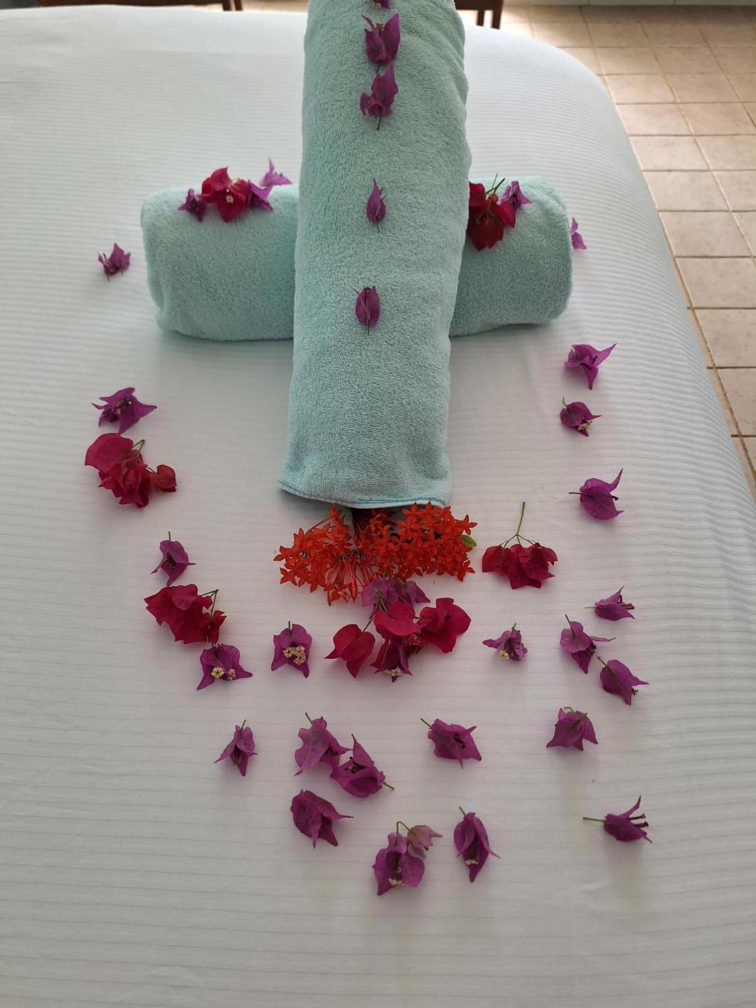 Sibonne Beach Hotel Грейс Бей Екстериор снимка